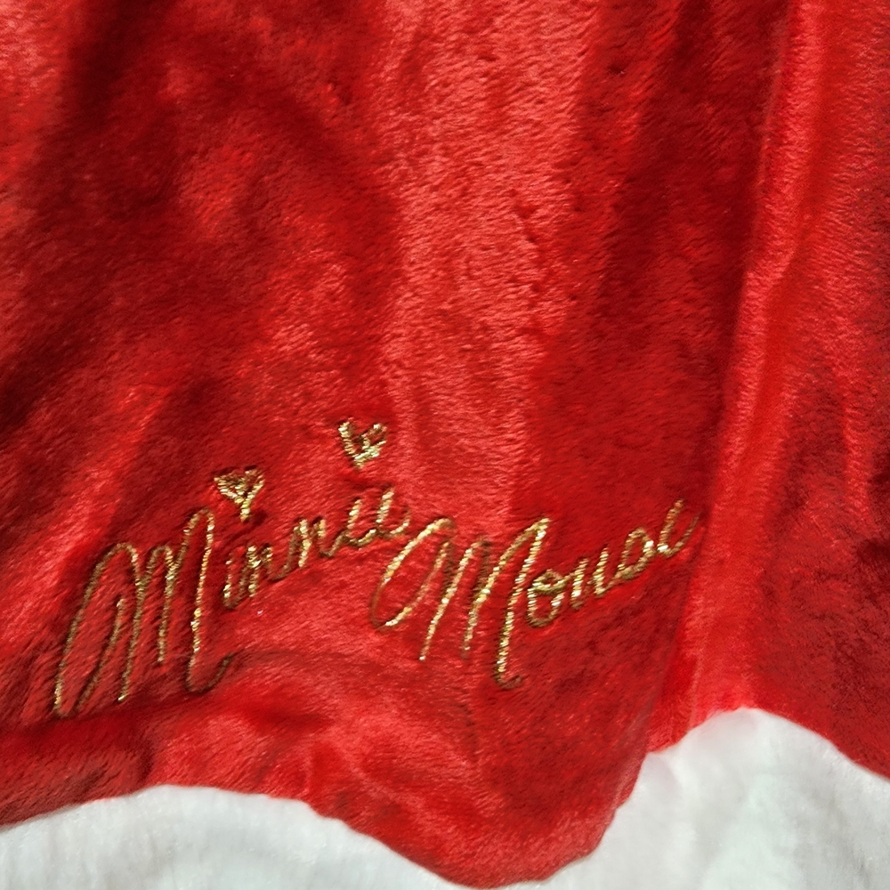 Disney Red and White Santa With Minnie Accents Dress NWT - Picture 4 of 5